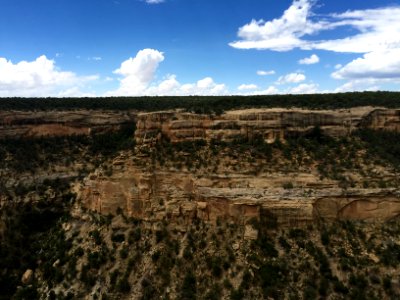 Canyon, Mesa Verde National Park, CO 