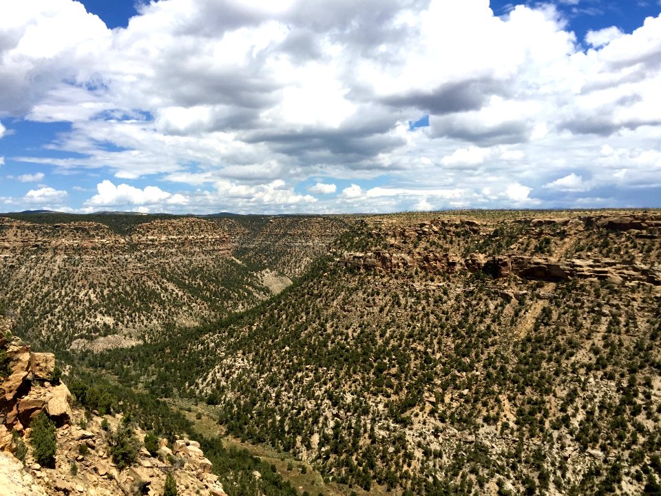 Canyon, Mesa Verde National Park, CO 