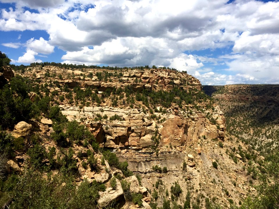 Canyon, Mesa Verde National Park, CO 