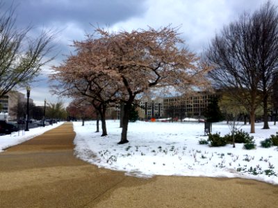 United States Capitol Building Grounds, Washington, DC 