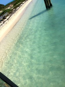 Fish at the Beach, Dry Tortugas National Park, FL 