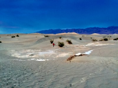 Mesquite Flat Dunes, Death Valley National Park, CA 