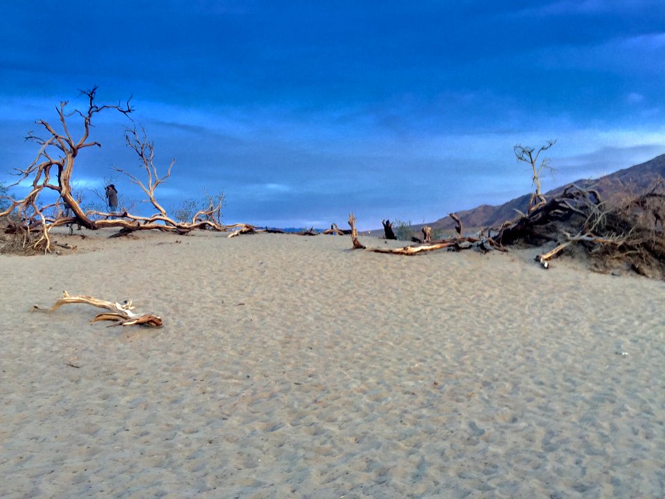 Mesquite Flat Dunes, Death Valley National Park, CA photo