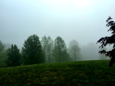 Mountain Fog, Speedwell, NC 