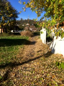 Goodin Alley, West End, Cincinnati, OH 