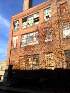 David Shoe Factory, West End, Cincinnati, OH 