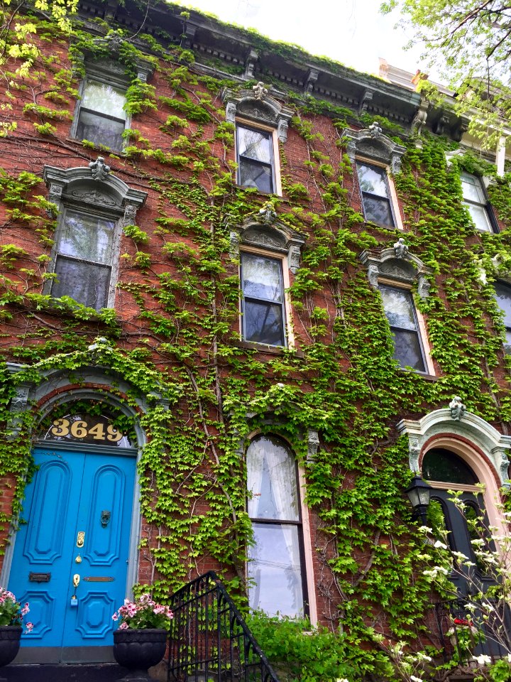 Prospect Avenue Rowhouse Group, Prospect Avenue Historic D… 