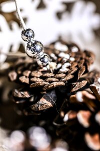 Pearls decoration nature