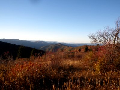 Black Balsam, Haywood County, NC 