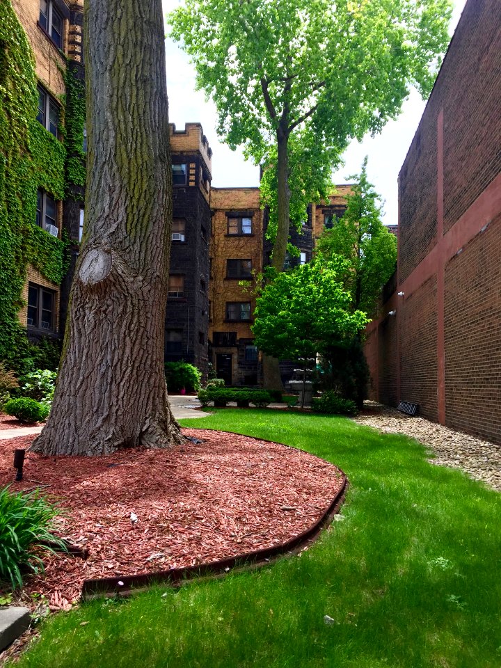 Plaza Apartments, Prospect Avenue Historic District, Midto… 
