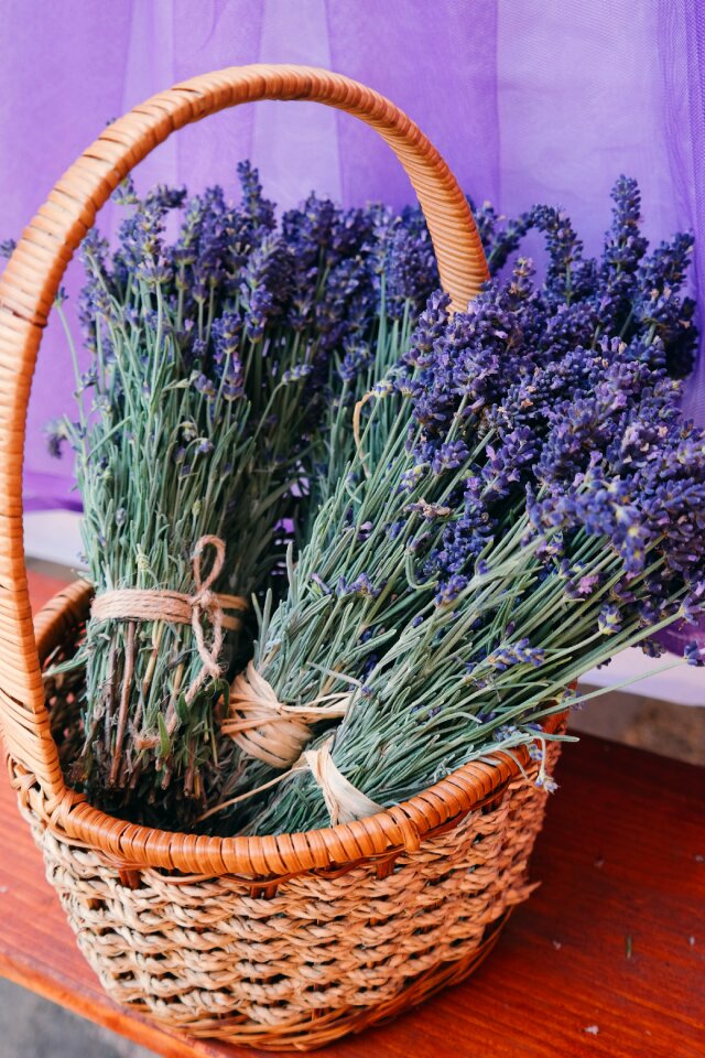 Flower basket flowers lavender