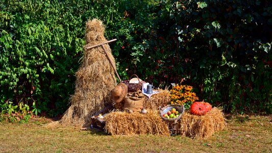Decoration autumn decoration autumn