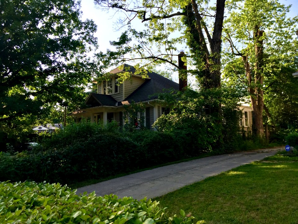 Overlook Road, Coventry Village, Cleveland Heights, OH 