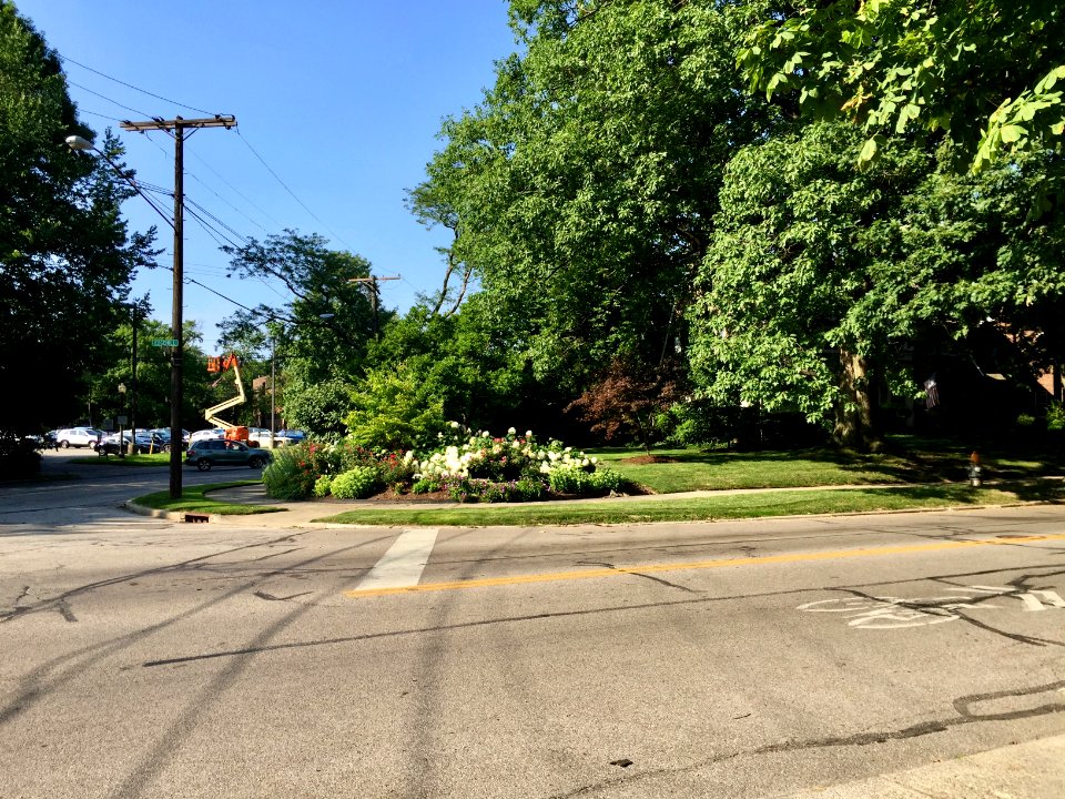 Edgehill Road, Coventry Village, Cleveland Heights, OH 
