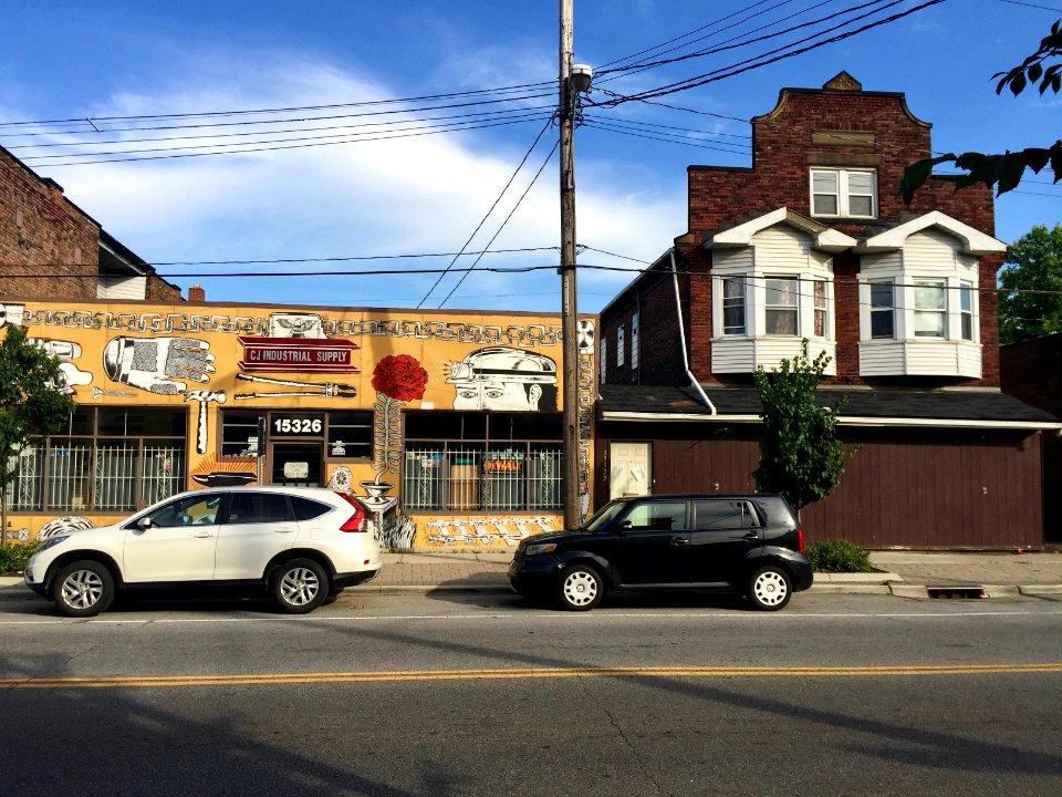 Waterloo Road, North Collinwood, Cleveland, OH 