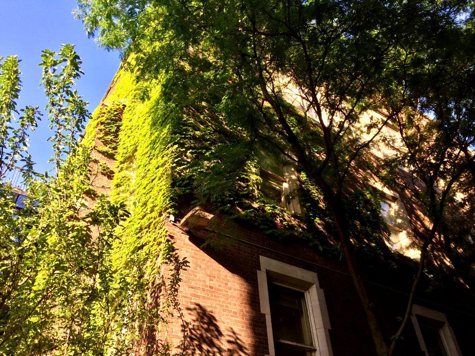 Morley Building, Case Western Reserve University, Clevelan… 
