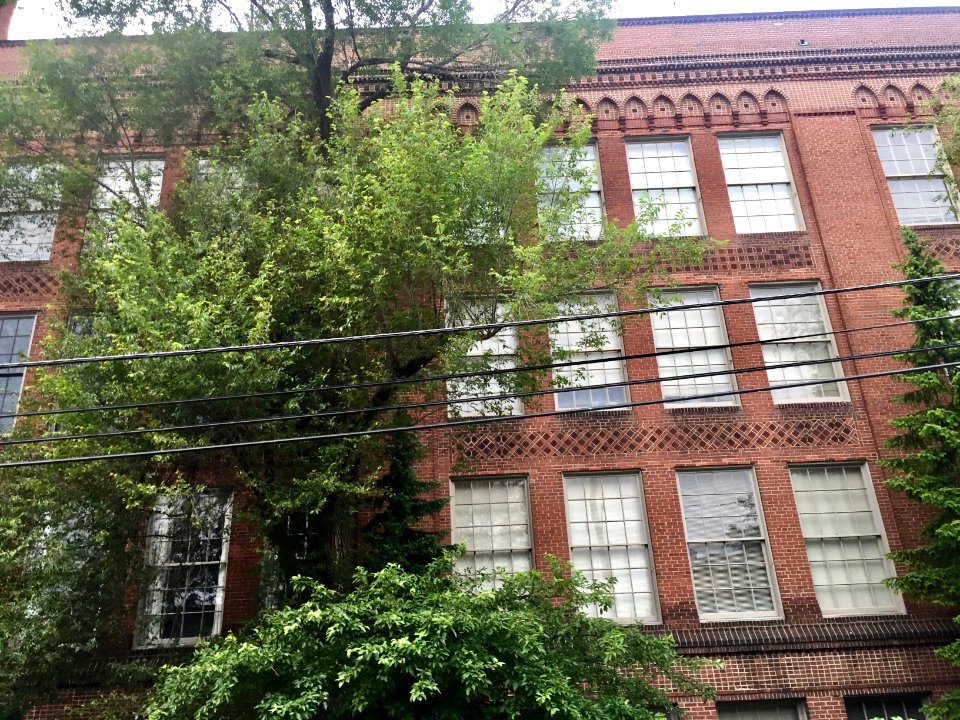 Murray Hill School, Little Italy, Cleveland, OH 