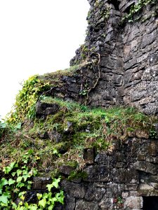 Old Ardmulchan Church, Ard Maoíchon, Éire 