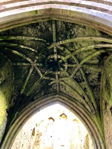 Hore Abbey, Caiseal, Éire 