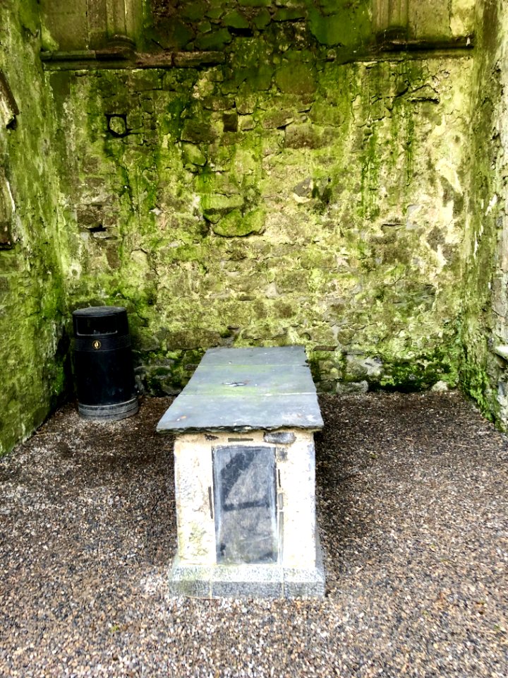 Sarcophagus, Cashel Cathedral, Rock of Cashel, Caiseal, Éi… 