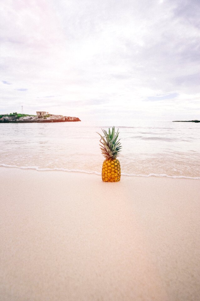 Seaside tropical summer