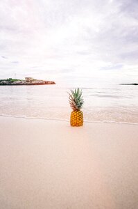 Seaside tropical summer photo