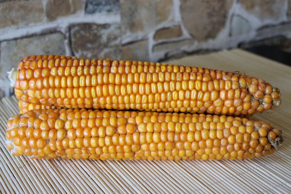 Corn on the cob vegetables food