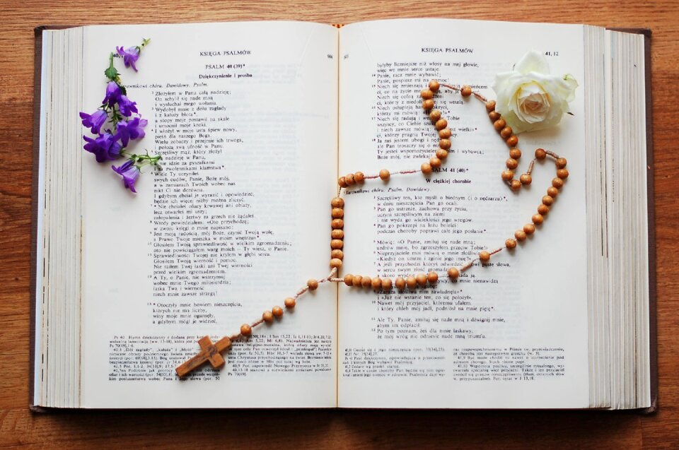 Prayer flowers rose