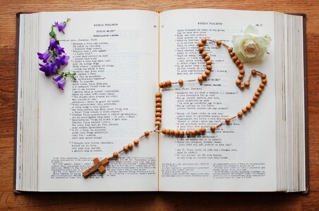 Prayer flowers rose