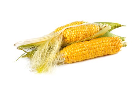Harvest fall food