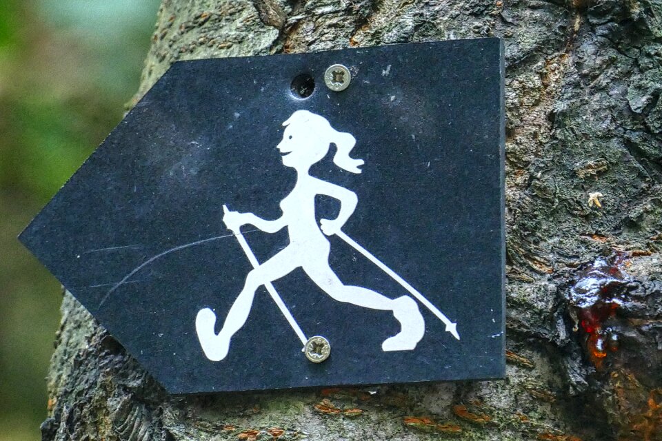 Walking note nature
