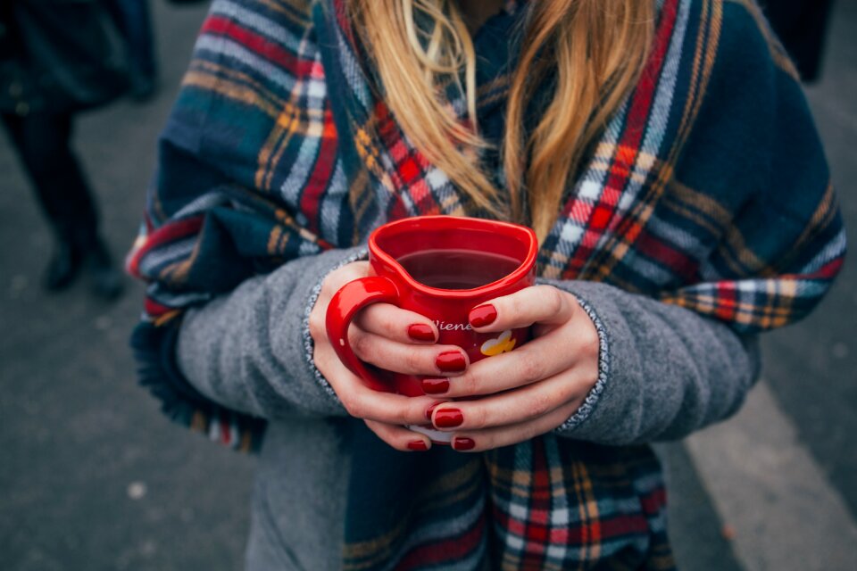 Beverage plaid scarf