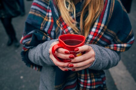 Beverage plaid scarf