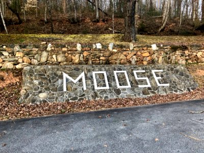 Moose Lodge Sign, Beta, NC 