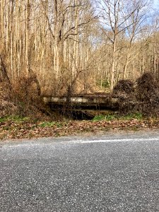 Old US 19-23 Bridge, North Fork, Addie, NC 