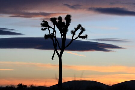 Mountains silhouettes desert