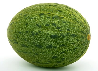 Green healthy melon