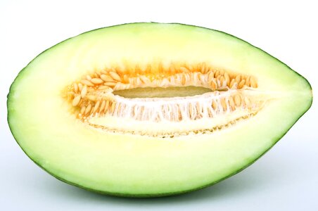 Green healthy melon
