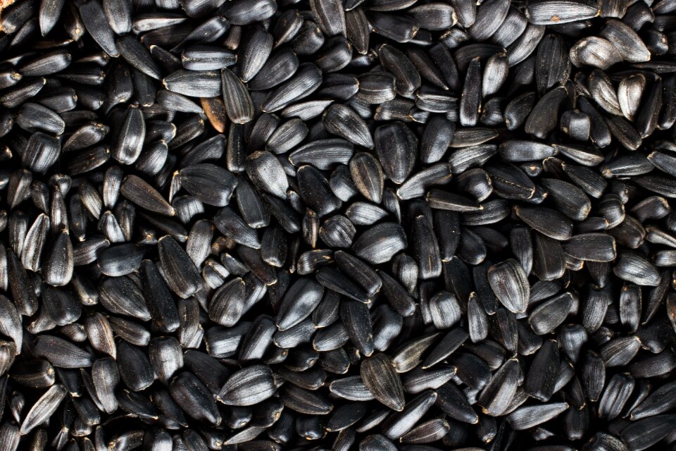 Black clicking a lot