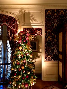 Louis XV Room, Biltmore House, Biltmore Estate, Asheville,… 