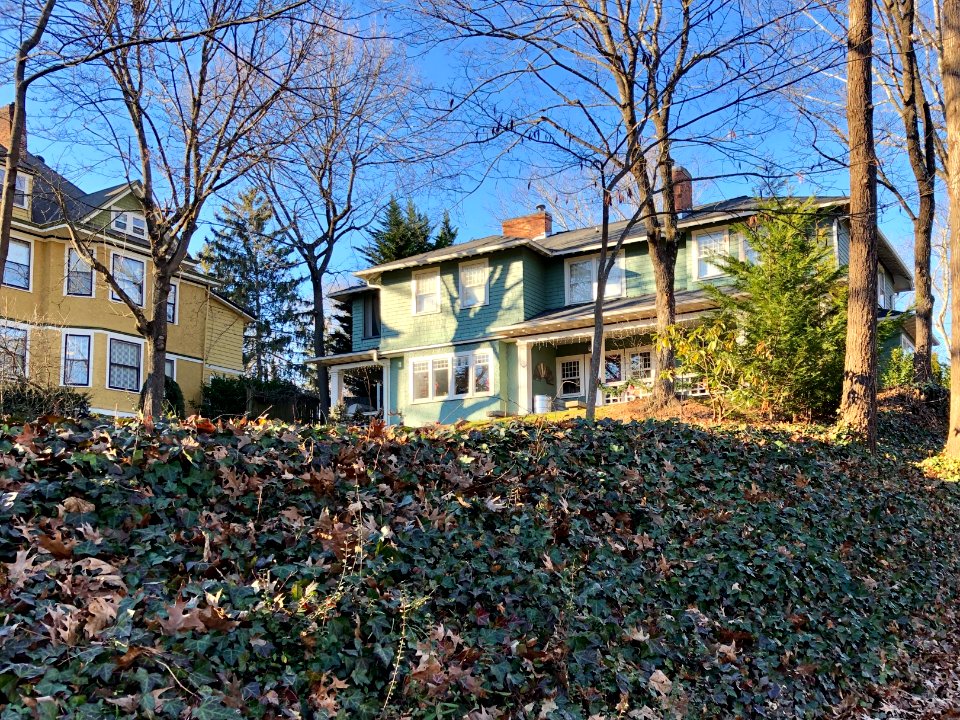 Watauga Street, Montford, Asheville, NC 