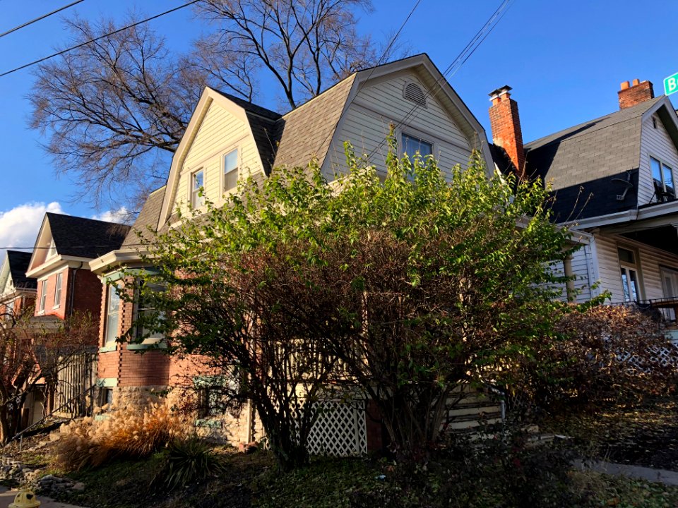 Moerlein Avenue, CUF, Cincinnati, OH 