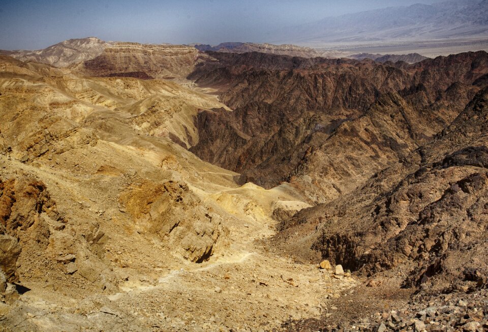 Arava wide brown
