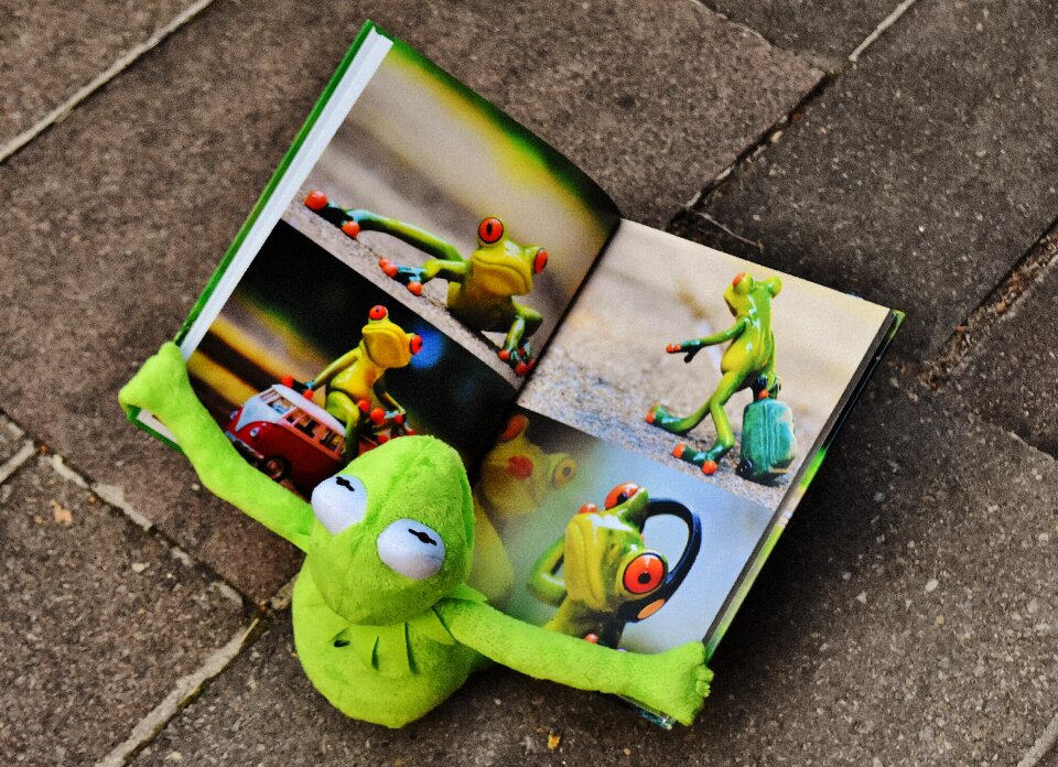To watch frog sit