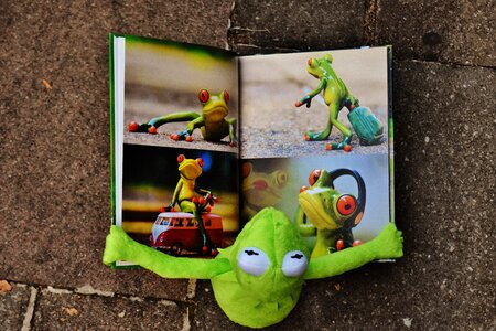 To watch frog sit