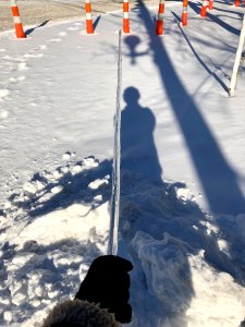 Icicle Disco Stick in the Snow, Clifton, Cincinnati, OH 