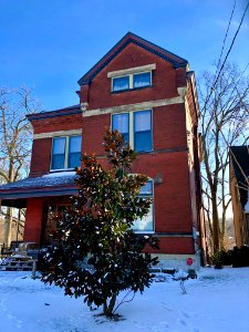 Terrace Avenue, Clifton, Cincinnati, OH 