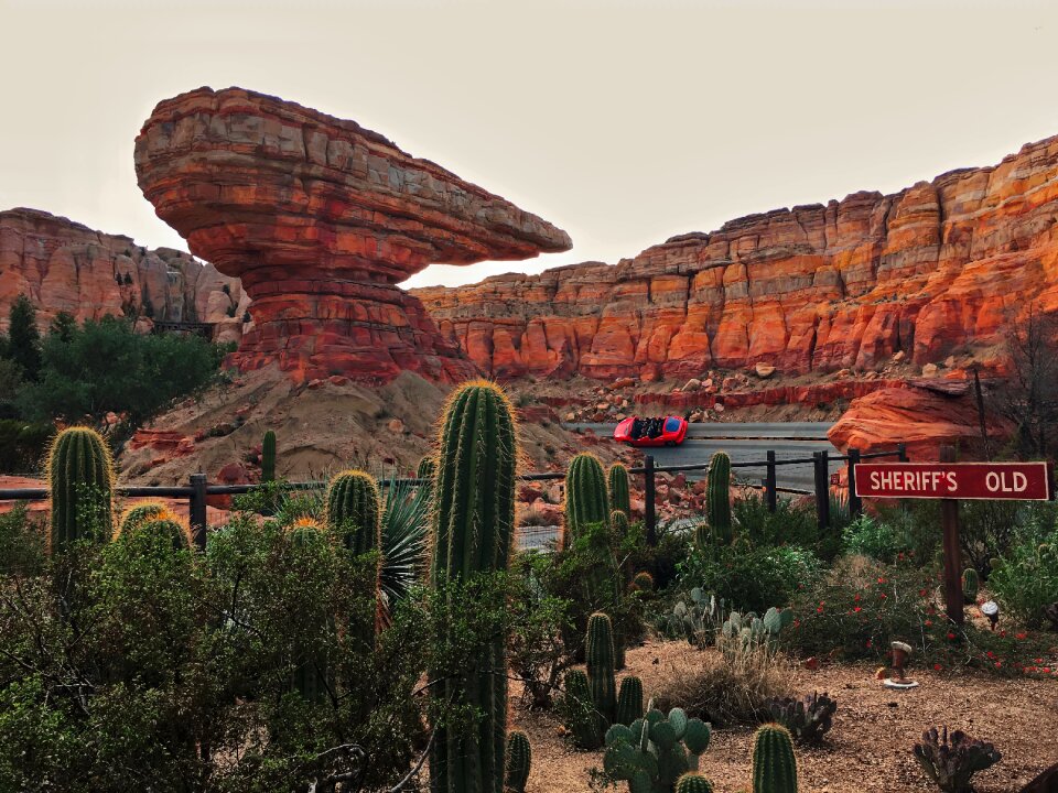 Disney california adventure lightning mcqueen theme park