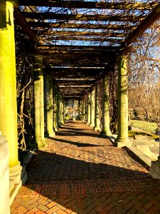 Pergola, Laurel Court, Belmont Avenue, College Hill, Cinci… 