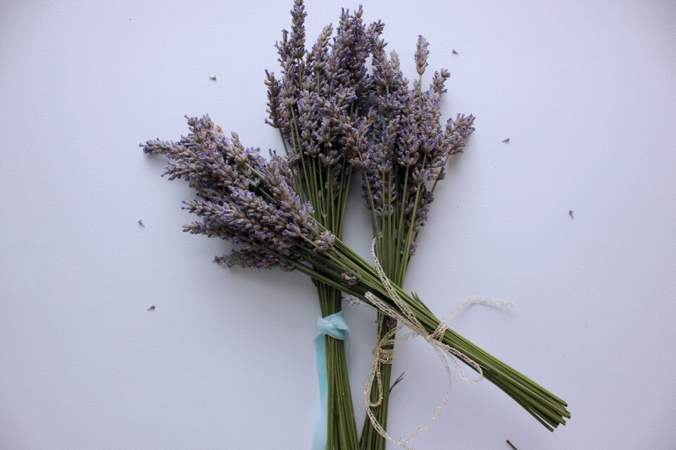Aromatherapy bloom flower